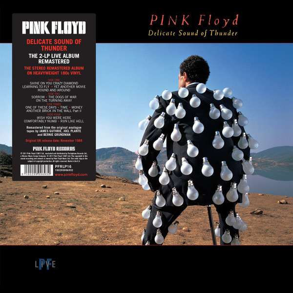 Pink Floyd – Delicate Sound Of Thunder 2 LP